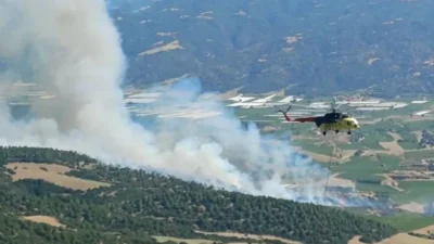 Balıkesir'in Susurluk, Altıeylül ve Dursunbey ilçelerinde neredeyse eş zamanlı olarak