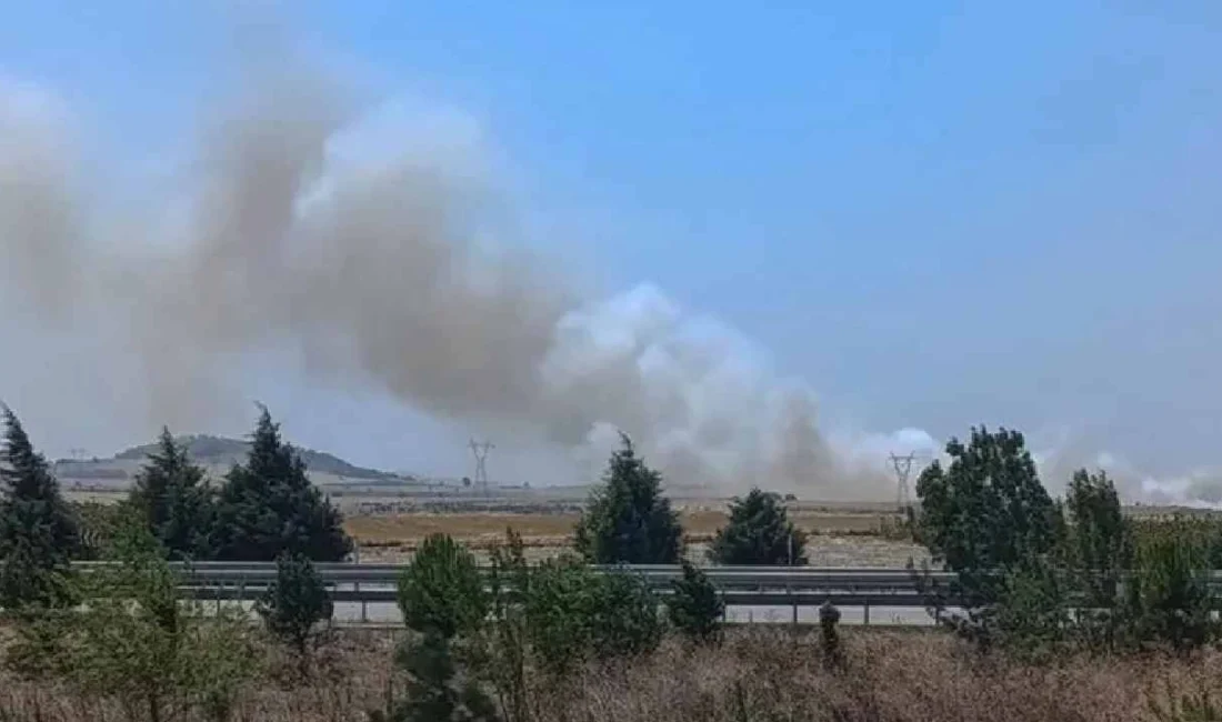 Hafta başında meydana gelen orman yangınlarının kontrol altına alındığı Balıkesir’de,
