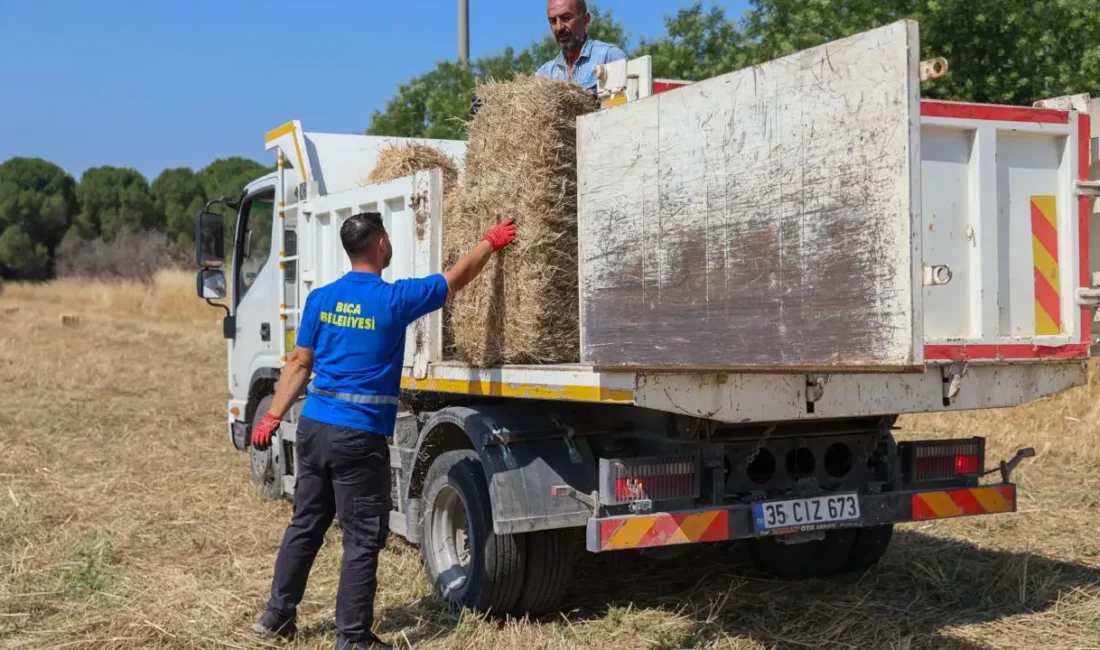 Buca Belediyesi, ilçenin köyler bölgesinde hayvancılıkla geçinen vatandaşların en büyük
