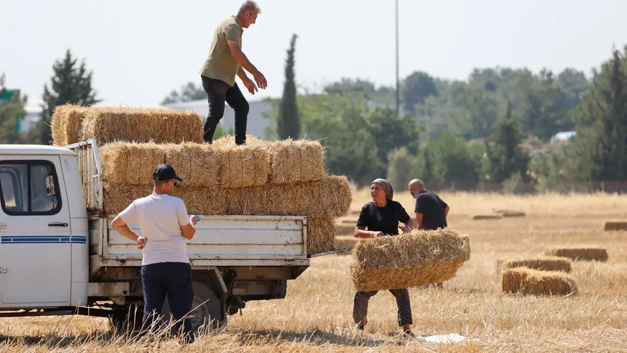 “Beraber üretecek, beraber güçleneceğiz!”: Buca’da üreticiye saman desteği
