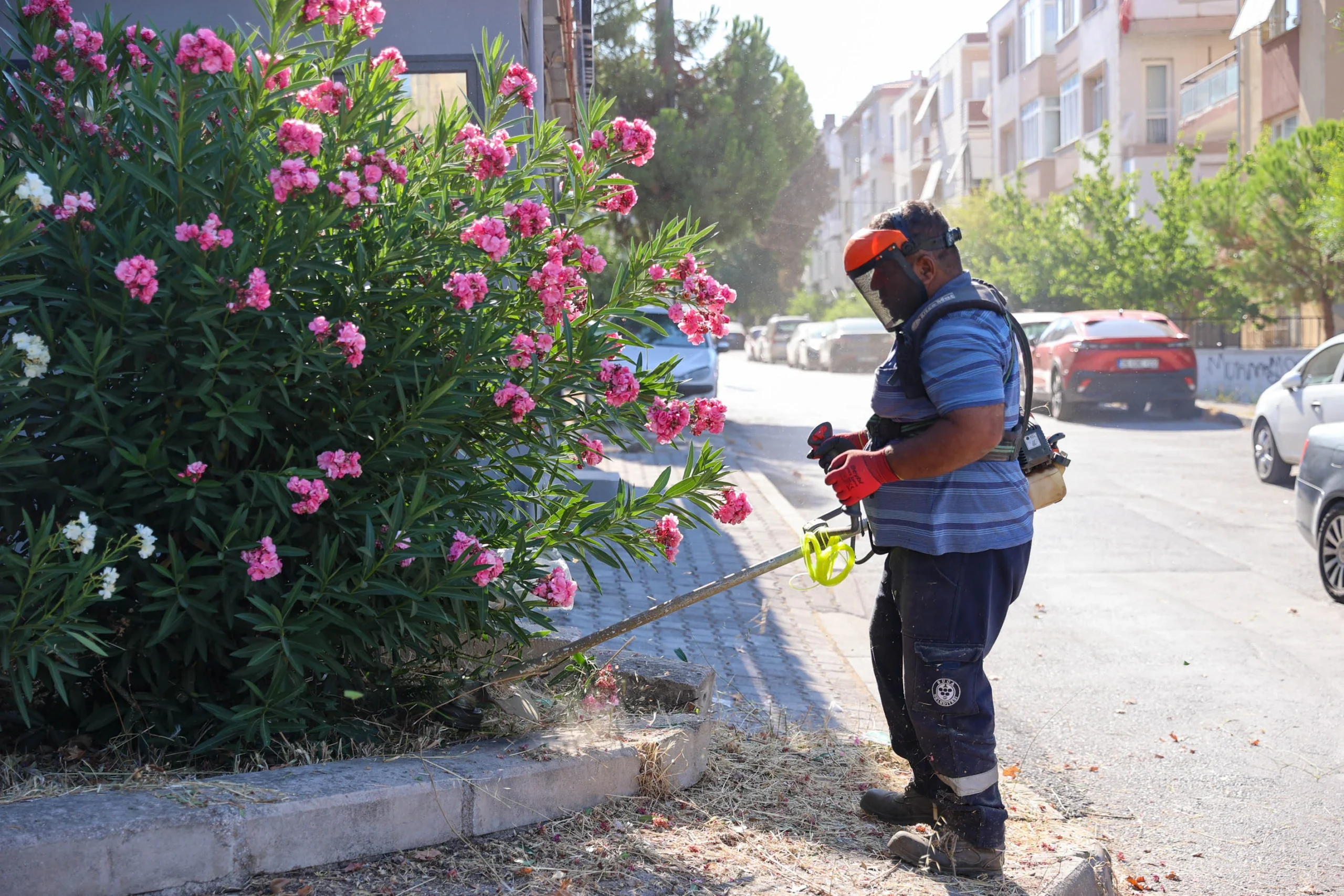 Buca’da yaz temizliği hız kesmeden sürüyor