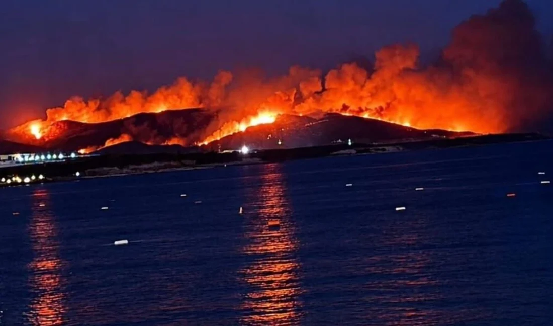 Aydın’ın Didim ilçesi ile Muğla sınırındaki ormanlık ve makilik alanda