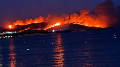 Aydın’ın Didim ilçesi ile Muğla sınırındaki ormanlık ve makilik alanda