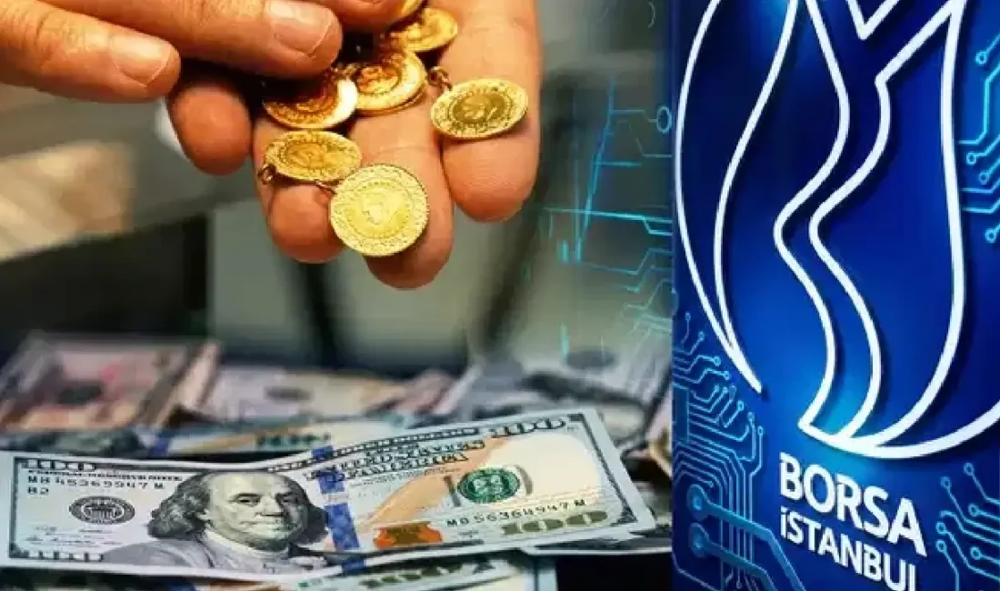 Türkiye İstatistik Kurumu (TÜİK), Haziran 2026 dönemine ait Finansal Yatırım