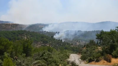 Gömeç’ten başlayıp Kozak Yaylası’nı aşan felakette rüzgar sık sık yön