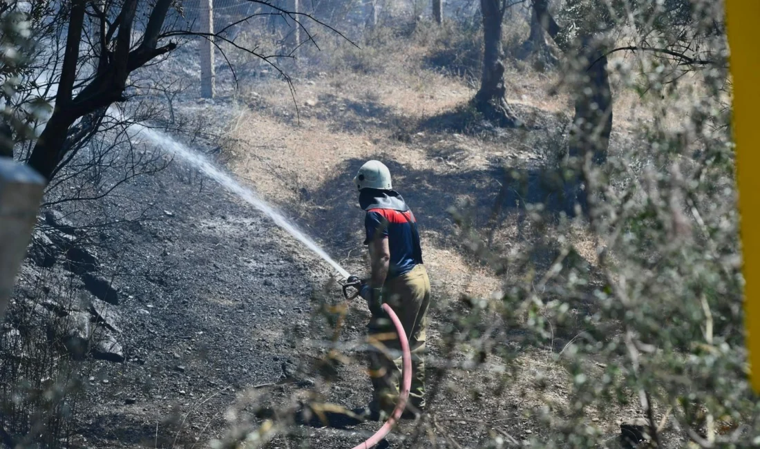 İzmir’de etkisini artıran sıcak hava ve kuvvetli rüzgâr yangın riskini