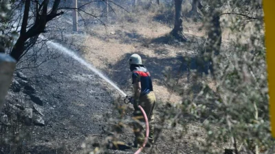 İzmir’de etkisini artıran sıcak hava ve kuvvetli rüzgâr yangın riskini