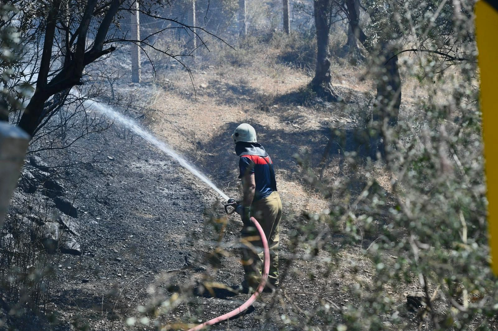 İzmir’de etkisini artıran sıcak hava ve kuvvetli rüzgâr yangın riskini