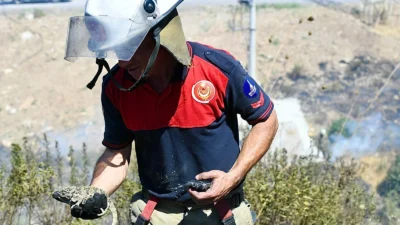 Bornova ilçesi Gökdere Mahallesi’nde çıkan orman yangınına İzmir İtfaiyesi ile