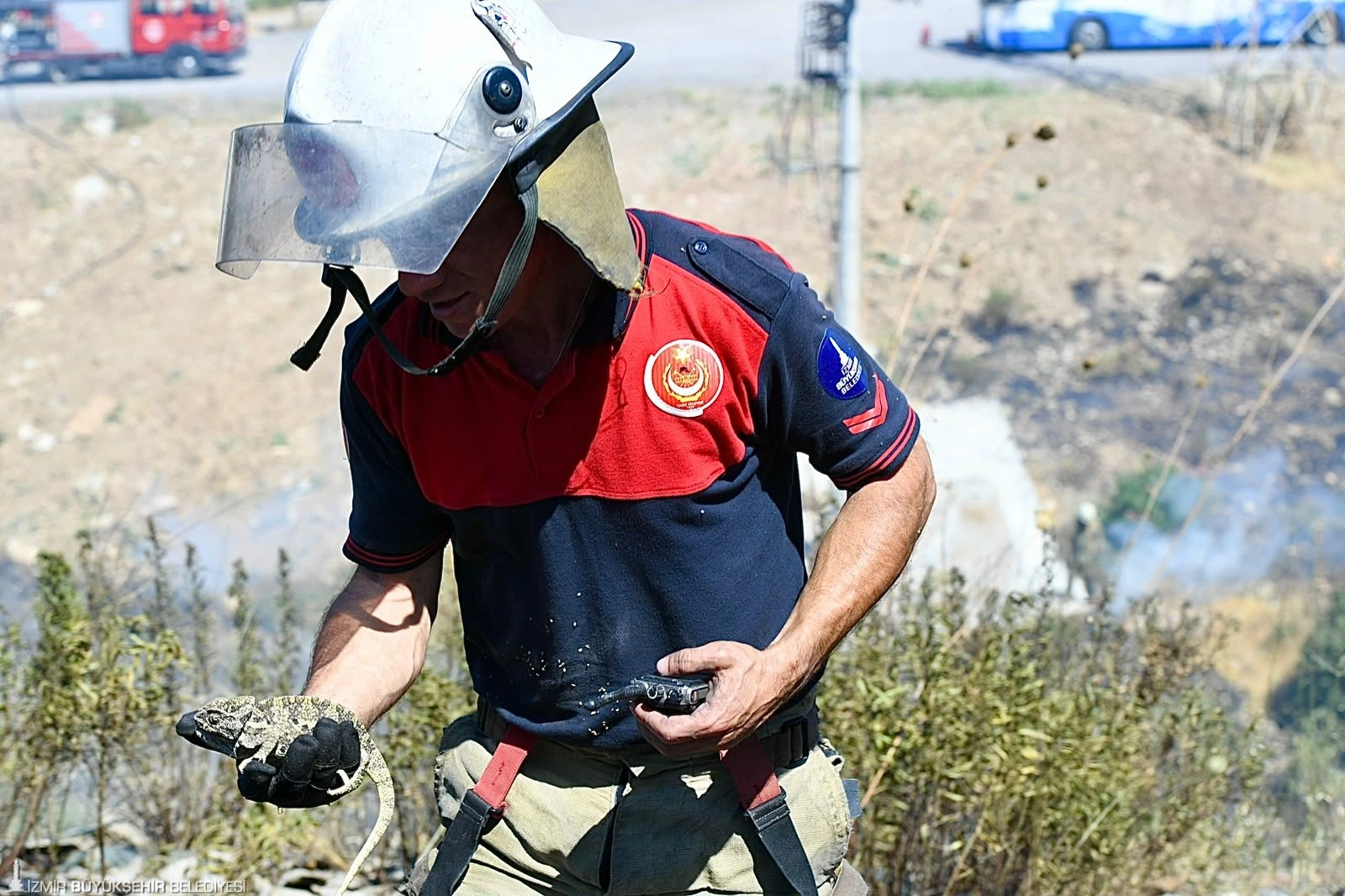 Bornova’da alevlerin arasında mucize kurtuluş! İzmir İtfaiyesi bukalemunu hayata döndürdü