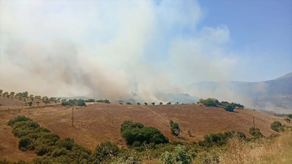 İzmir Kiraz'da alevler arazilere sıçradı: Havadan ve karadan müdahaleyle söndürüldü