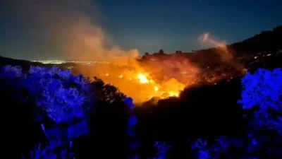 İzmir’in Ödemiş ilçesindeki ormanlık alanda henüz belirlenemeyen bir nedenle çıkan