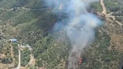 İzmir'in Narlıdere ilçesindeki ormanlık alanda öğle saatlerinde çıkan yangını kontrol