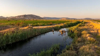 İzmir Büyükşehir Belediyesi, 40 bin hektarlık uluslararası koruma altındaki Ramsar