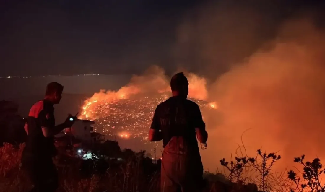 Balıkesir’in Gömeç ilçesinde başlayan orman yangını, şiddetli rüzgarın etkisiyle İzmir’in