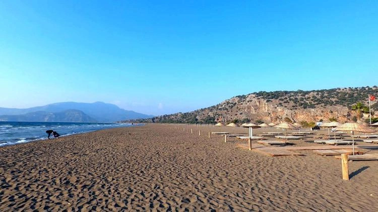 İztuzu Plajı'nda rekor yuva sayısı: 400'üncü bölge kayıt altına alındı