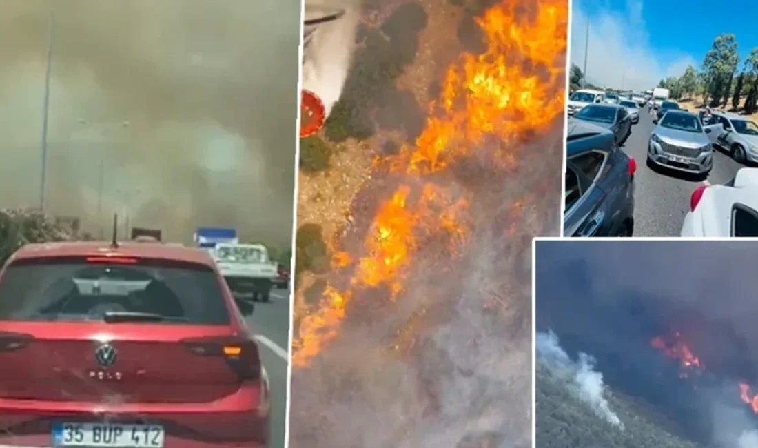 Manisa'nın Akhisar ilçesinde öğle saatlerinde başlayan orman yangını, şiddetli rüzgarın