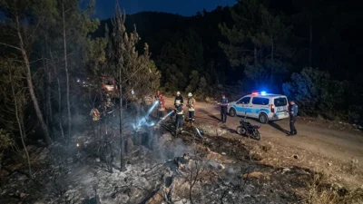 Muğla'nın Marmaris ilçesinde gece saatlerinde çıkan orman yangınına yol açtığı