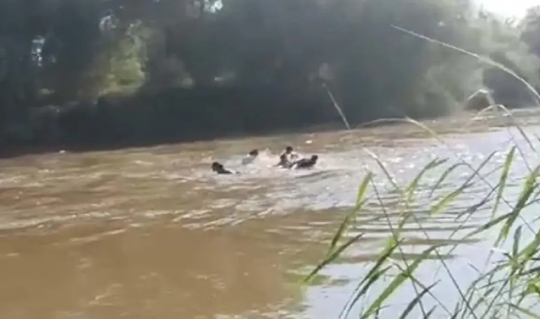 Aydın’ın İncirliova ilçesinde serinlemek için Büyük Menderes Nehri’ne giren çocuklardan