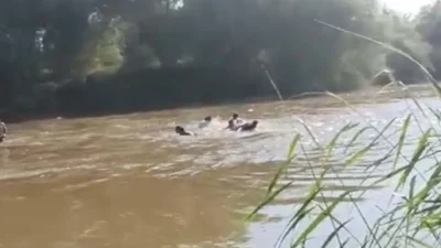 Aydın’ın İncirliova ilçesinde serinlemek için Büyük Menderes Nehri’ne giren çocuklardan