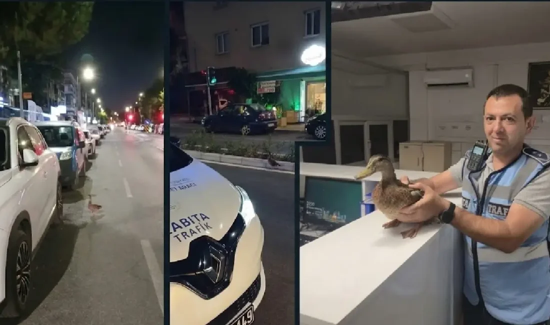 İzmir Büyükşehir Belediyesi zabıta ekipleri, Karşıyaka’da taksilere yönelik denetm sırasında
