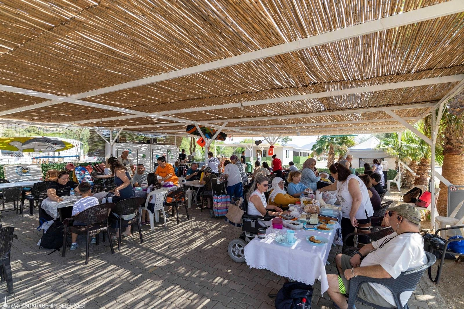 İzmir'de engeller denizde kalkıyor: Özgürlüğe kulaç attılar