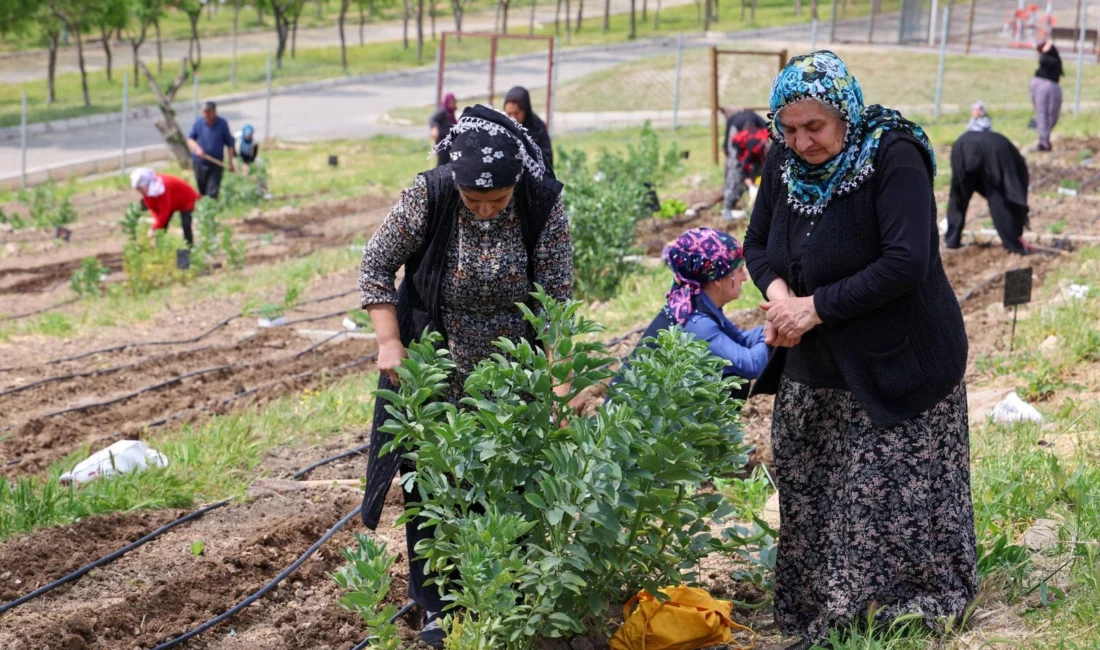 İzmir Büyükşehir Belediyesi Kadın ve Aile Hizmetleri ile Tarımsal Hizmetler