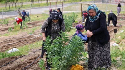 İzmir Büyükşehir Belediyesi Kadın ve Aile Hizmetleri ile Tarımsal Hizmetler