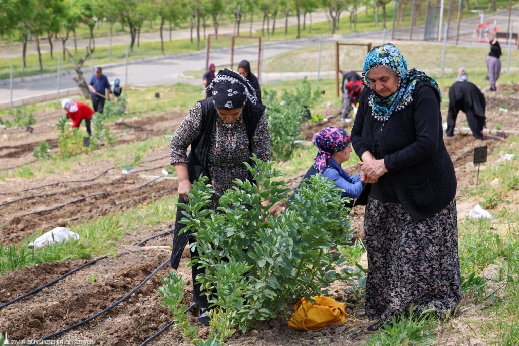 Kozağaç Mahalle Bostanı için kayıt zamanı