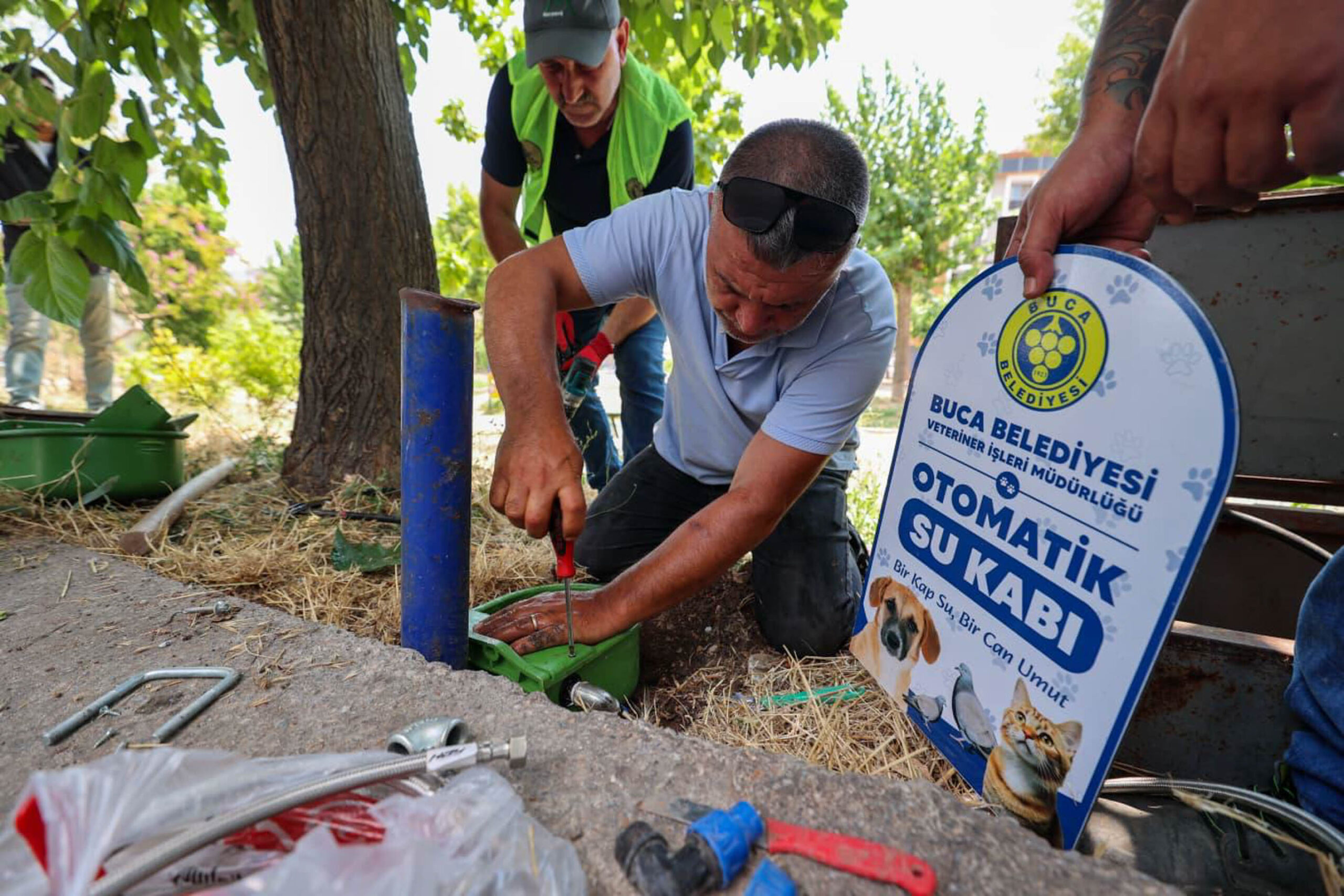 Buca Belediyesi’nden sokak hayvanlarına can suyu: Parklara otomatik su kapları yerleştirildi