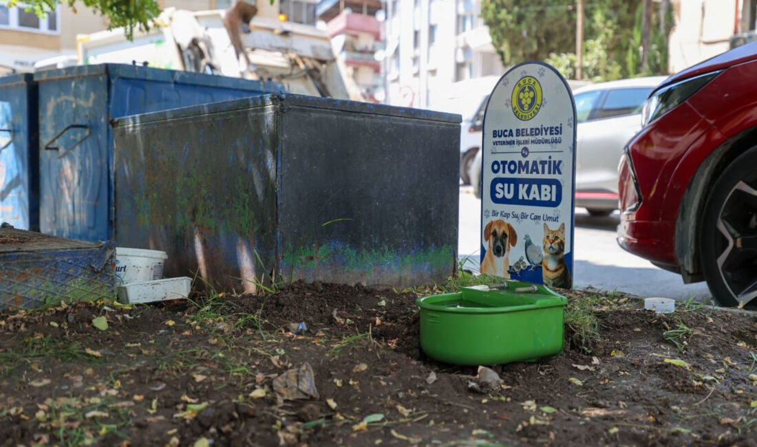 Buca Belediyesi, kavurucu sıcaklarda sokak hayvanları için parklara şamandıralı otomatik