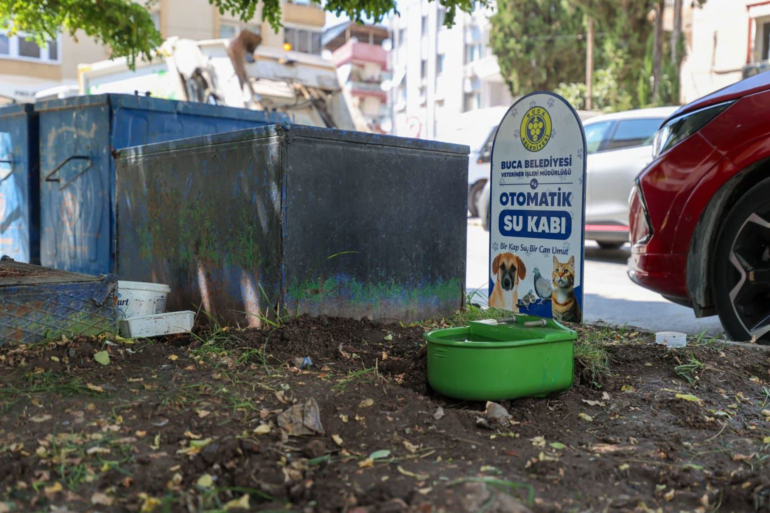 Buca Belediyesi’nden sokak hayvanlarına can suyu: Parklara otomatik su kapları yerleştirildi