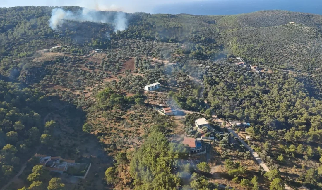 Antalya'nın dünyaca ünlü turizm merkezi Kaş ilçesinde, ormanlık alanda çıkan