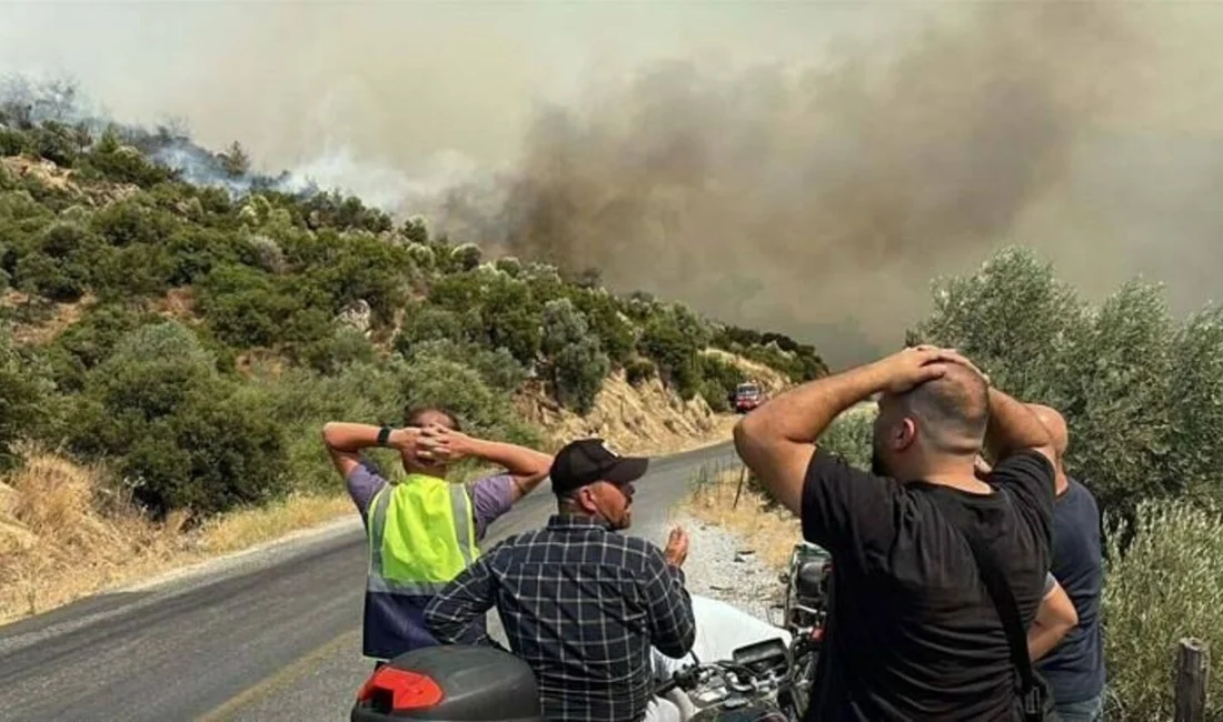 Aydın’ın Kuyucak ilçesinde dün öğle saatlerinde başlayan orman yangını 2'nci