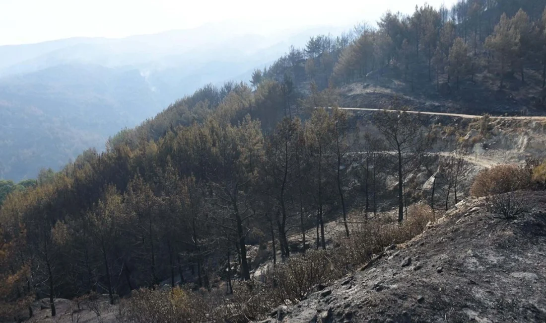 Aydın’ın Çine ilçesinde 30 Temmuz'da başlayan ve 3 yerleşim yerinin