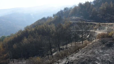Aydın’ın Çine ilçesinde 30 Temmuz'da başlayan ve 3 yerleşim yerinin