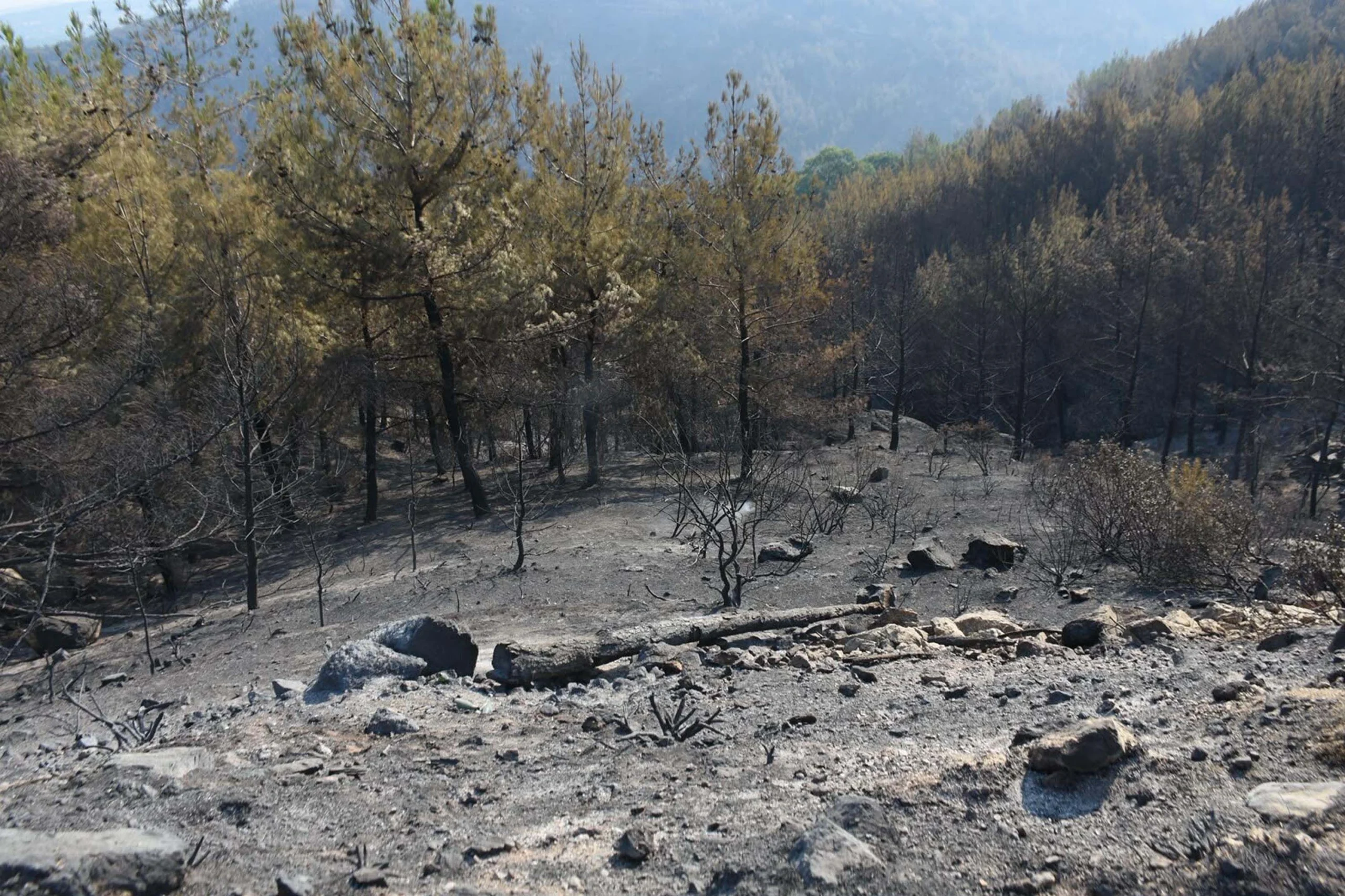 Aydın’da alevlerle mücadelede 4. gün: Çine yangını büyük ölçüde kontrol altında