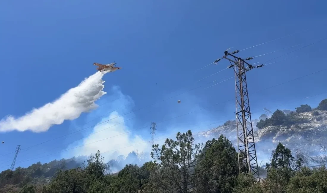 Tarım ve Orman Bakanı İbrahim Yumaklı, 29 Temmuz’dan bu yana
