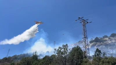 Tarım ve Orman Bakanı İbrahim Yumaklı, 29 Temmuz’dan bu yana