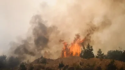 Balıkesir’in Sındırgı ilçesinde bir süt kamyonunda çıkan yangın, şiddetli rüzgarın