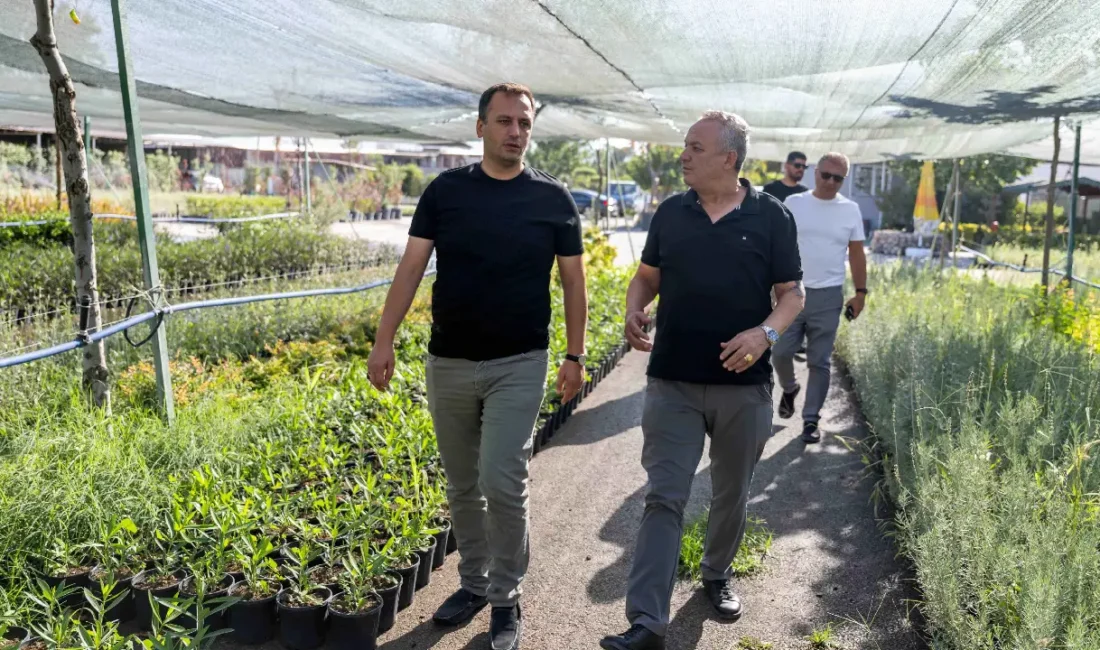Bornova Belediye Başkanı Ömer Eşki, Bornova Belediyesi Park ve Bahçeler