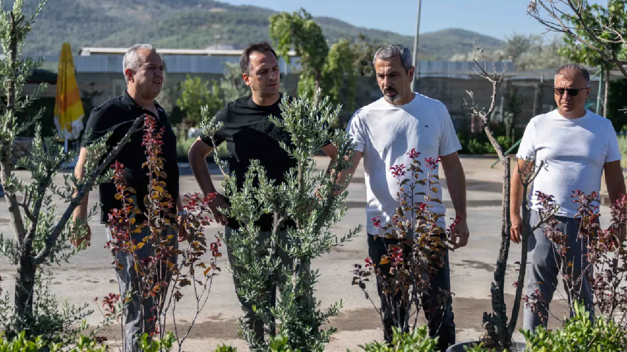Bornova’ya 7 dönümlük cennet bahçesi: İzmir’in ilk lavanta parkı geliyor