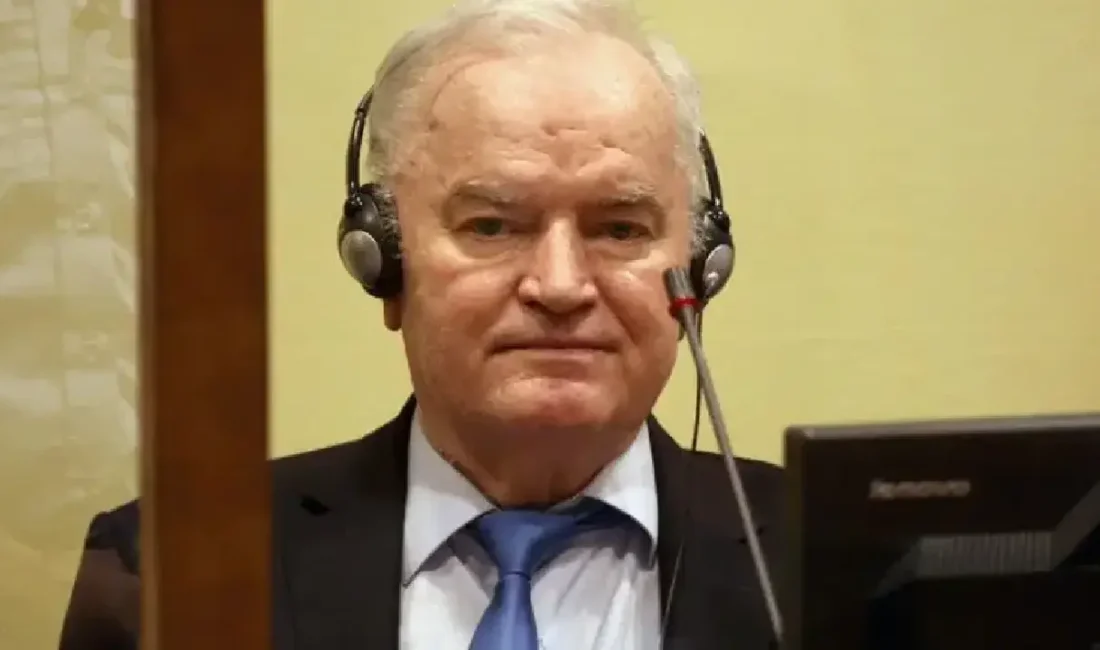 Bosna Savaşı sırasında işlediği soykırım, insanlığa karşı suçlar ve savaş