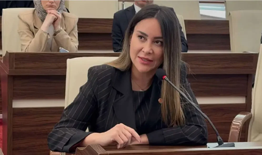 Bakırköy Cumhuriyet Başsavcılığı’nın "Şapkalılar" suç örgütüne yönelik yürüttüğü tehdit ve