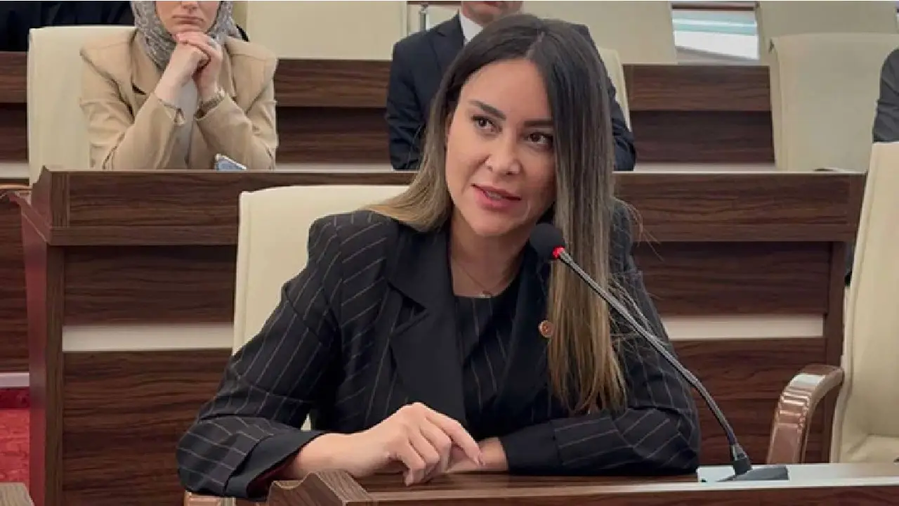 CHP Meclis Üyesi Hülya Şimşek azmettirici iddiasıyla tutuklandı