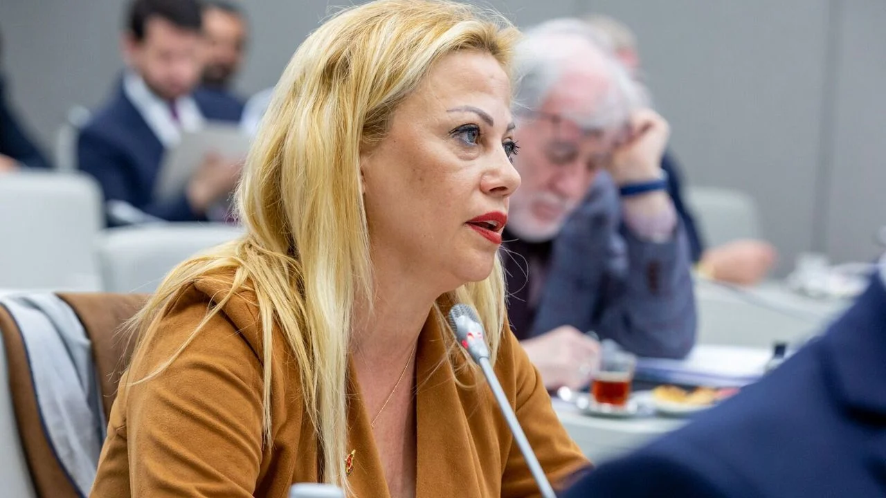 İzmir Gazeteciler Cemiyeti (İGC) Başkanı Dilek Gappi, AK Parti Genel