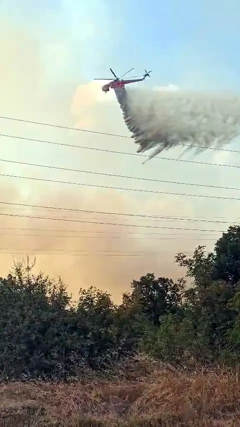 Edirne’de anız yangını ormana sıçradı: Havadan ve karadan müdahale