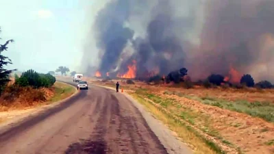 Edirne’nin Meriç ilçesinde gece saatlerinde başlayan anız yangını, sabah rüzgarın