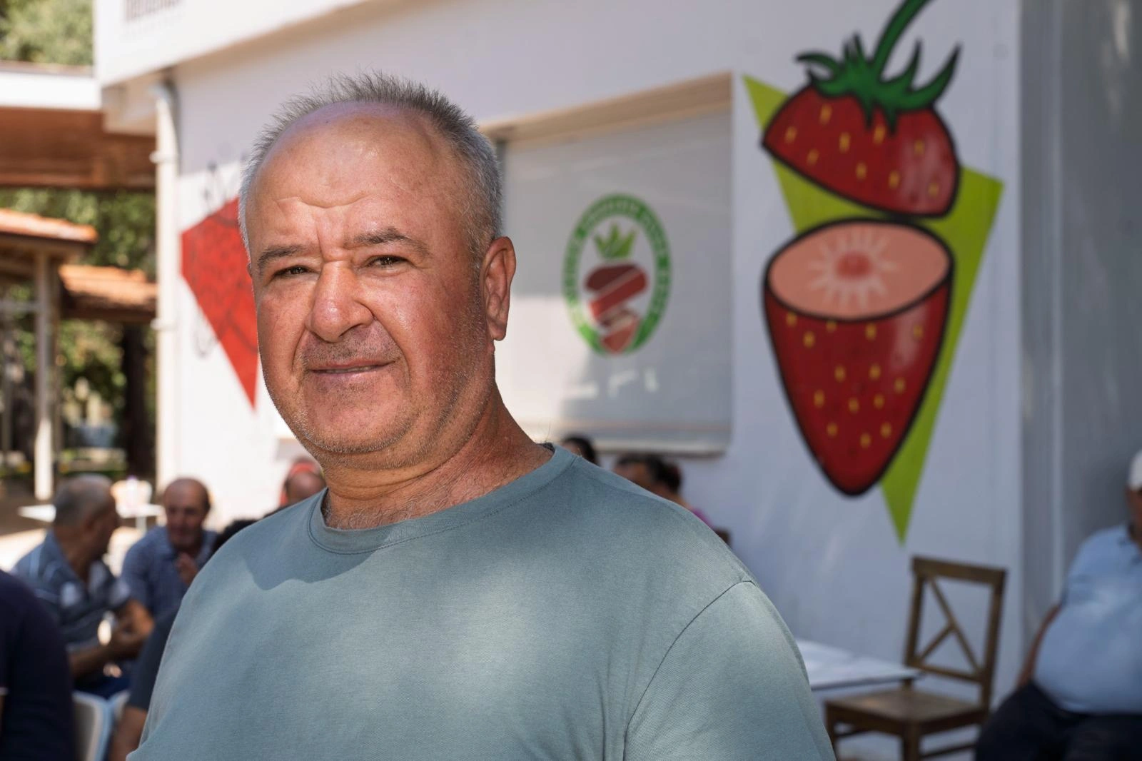Büyükşehir’den domates ve çilek üreticisine iklim zırhı