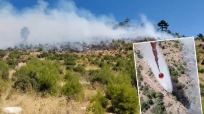 İzmir'in Kiraz ilçesinde tarım arazisinde başlayan yangın, rüzgarın etkisiyle ormanlık